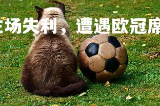 okooo-阿森纳主场失利，遭遇欧冠席位逐渐损失，阿森纳 主场