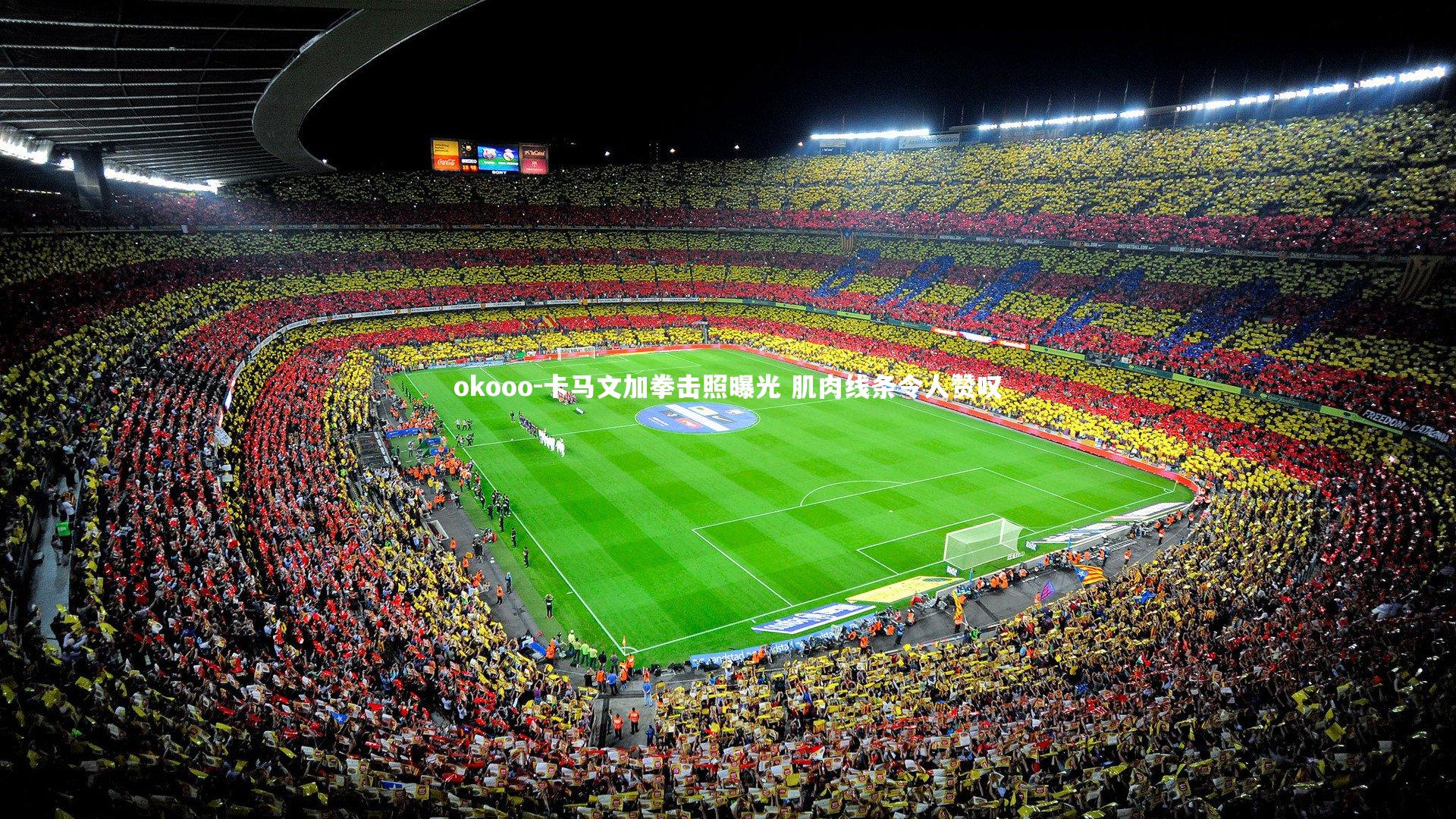 okooo-卡马文加拳击照曝光 肌肉线条令人赞叹